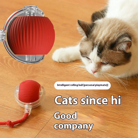 Smart Rolling Cat Ball