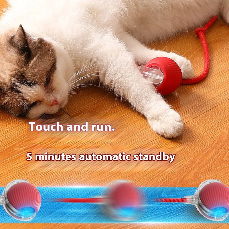 Smart Rolling Cat Ball