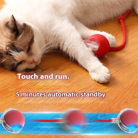 Smart Rolling Cat Ball