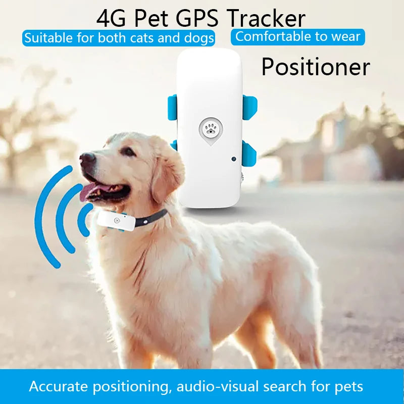 4G Pet GPS Tracker