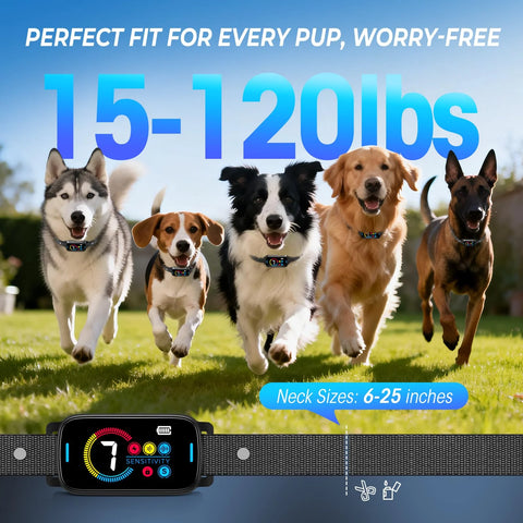 Ultrasonic Bark Collar