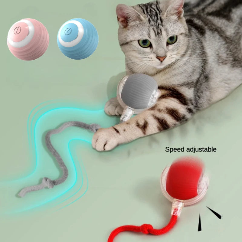 Smart Rolling Cat Ball