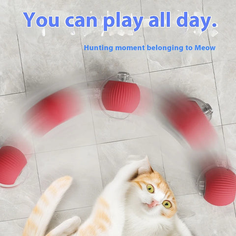 Smart Rolling Cat Ball