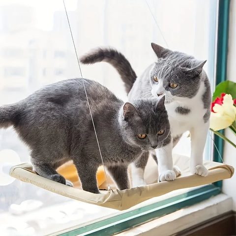 Cat Window Hammock Seat