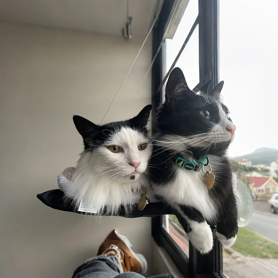 Cat Window Hammock Seat