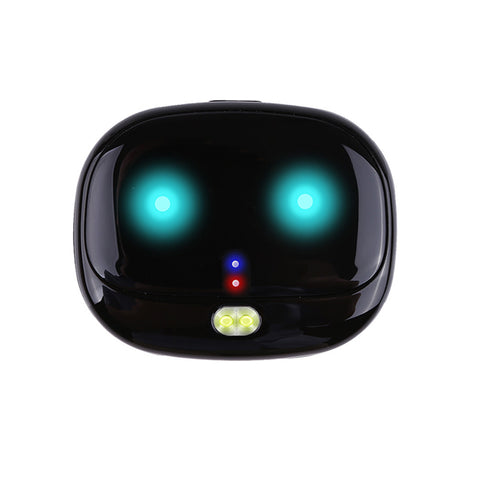 GPS Tracker Dog Collar