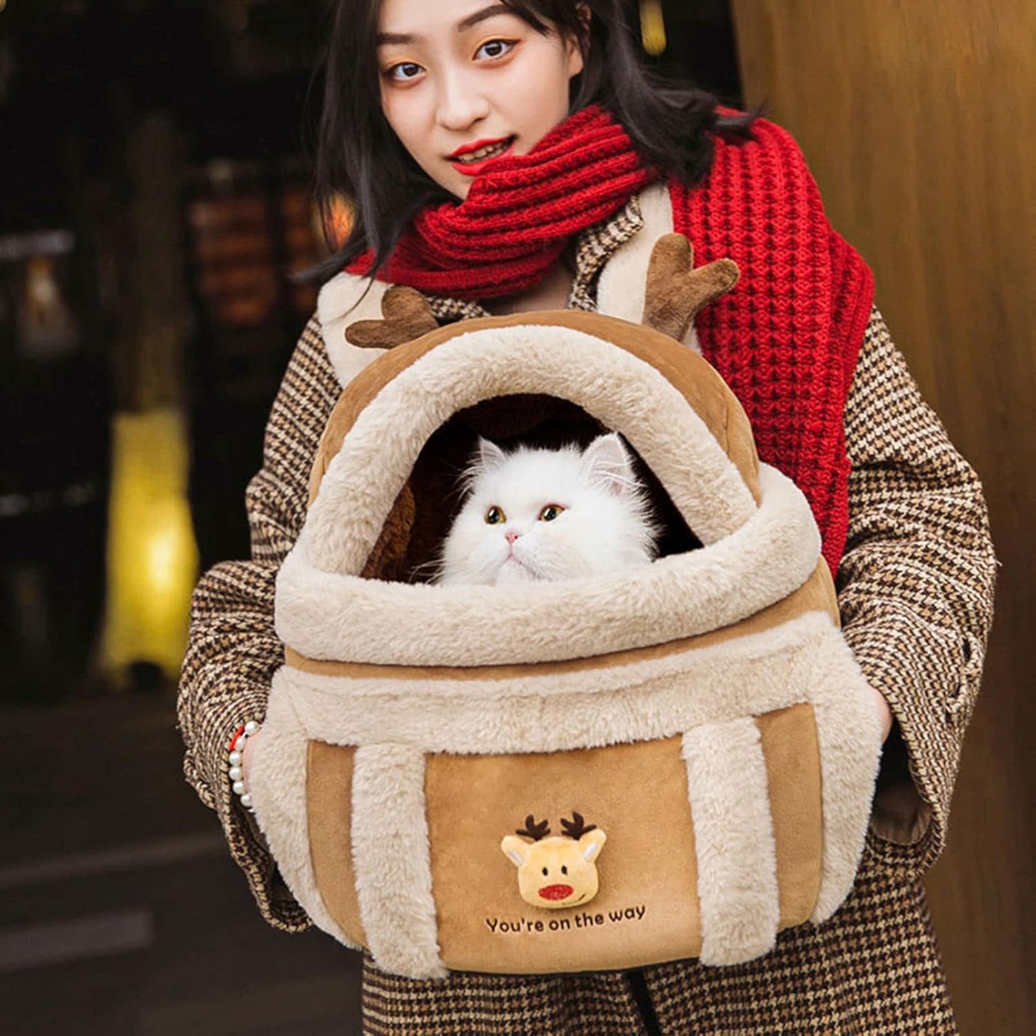 Winter Pet Carrier Backpack