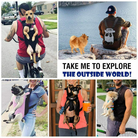Canvas Pet Chest Backpack