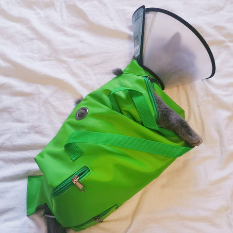 Portable Cat Diaper Bag