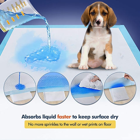 Absorbent Dog PadS