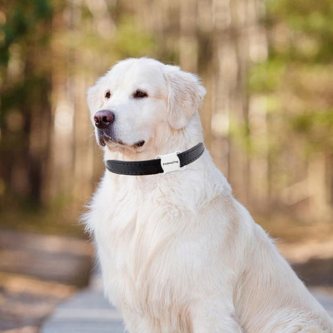 Smart Pet GPS Tracker