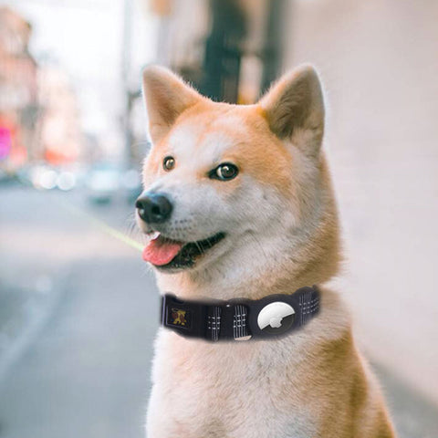 Pet Tracker Case Protector